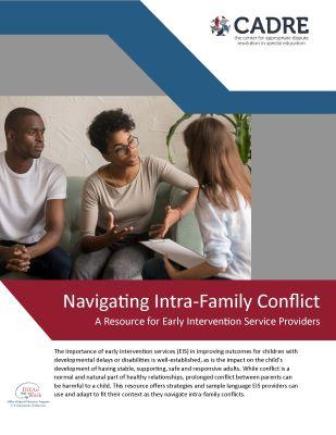 Cover of Navigating Intra-Family Conflict